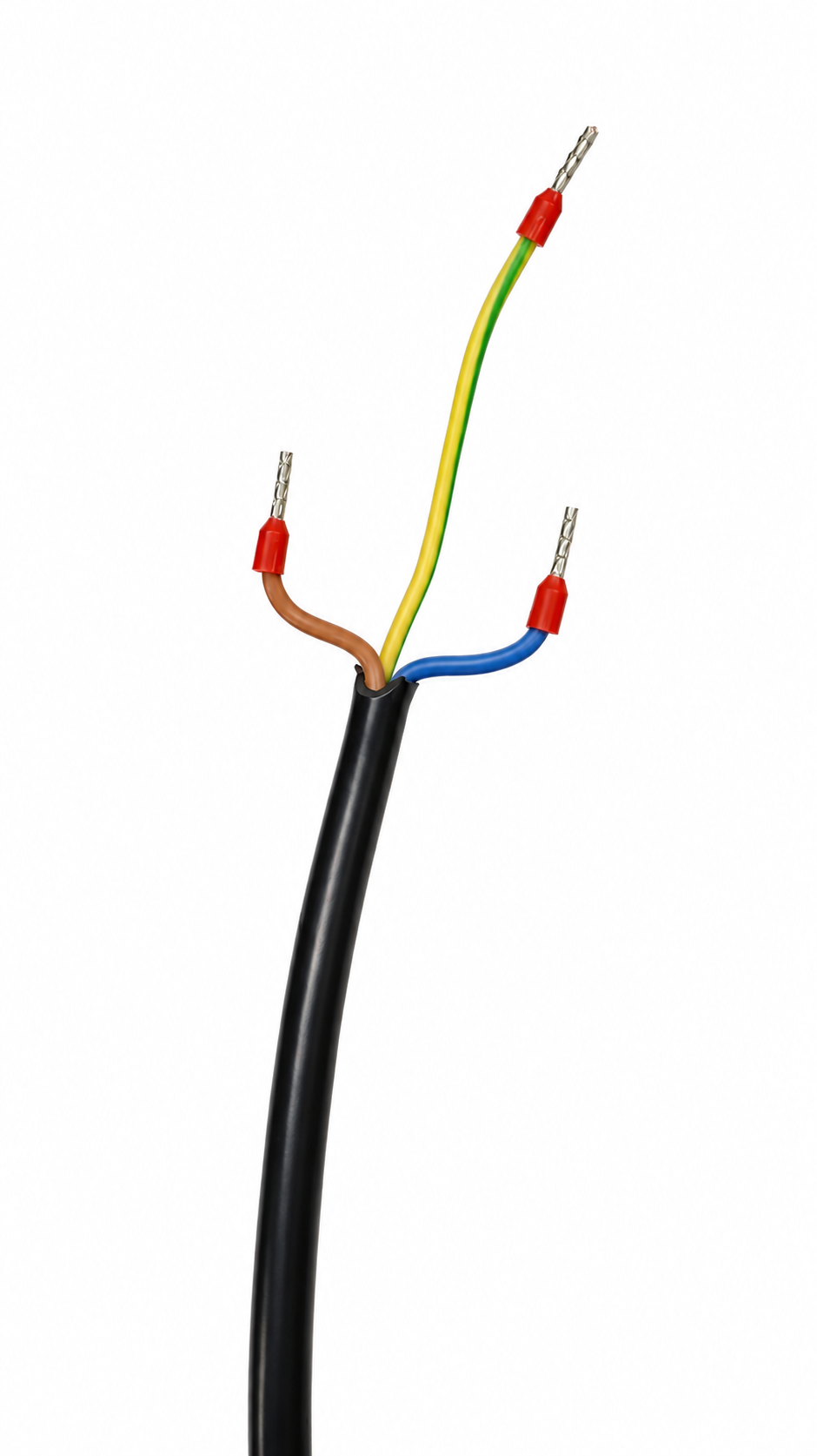 ac8a7014-182f-46f1-a01d-793a40f71fec.png